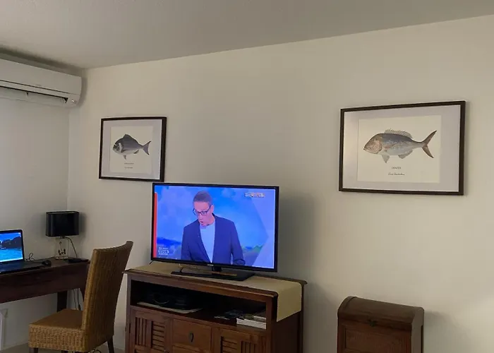 Апартаменты Ile De Cannes Marina Мандельё-ла-Напуль